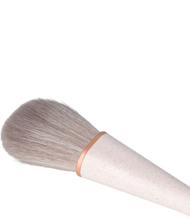 Parsa Blush Brush